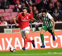 包含转会期马德里竞技迎来里程碑——葡超节点到来，目标明确，赛程密集仍需轮换的词条